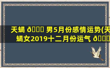 天蝎 💐 男5月份感情运势(天蝎女2019十二月份运气 🐘 )